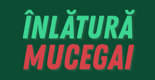 Inlatura Mucegai